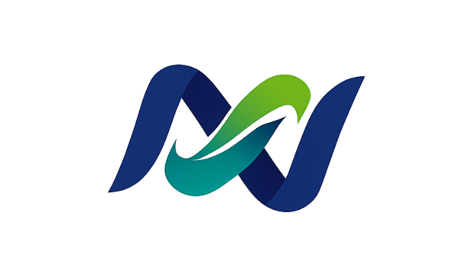 Logo NEXUS DE VALOR CONSULTORIA