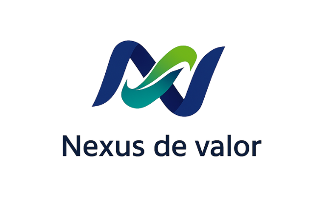 Logo NEXUS DE VALOR CONSULTORIA